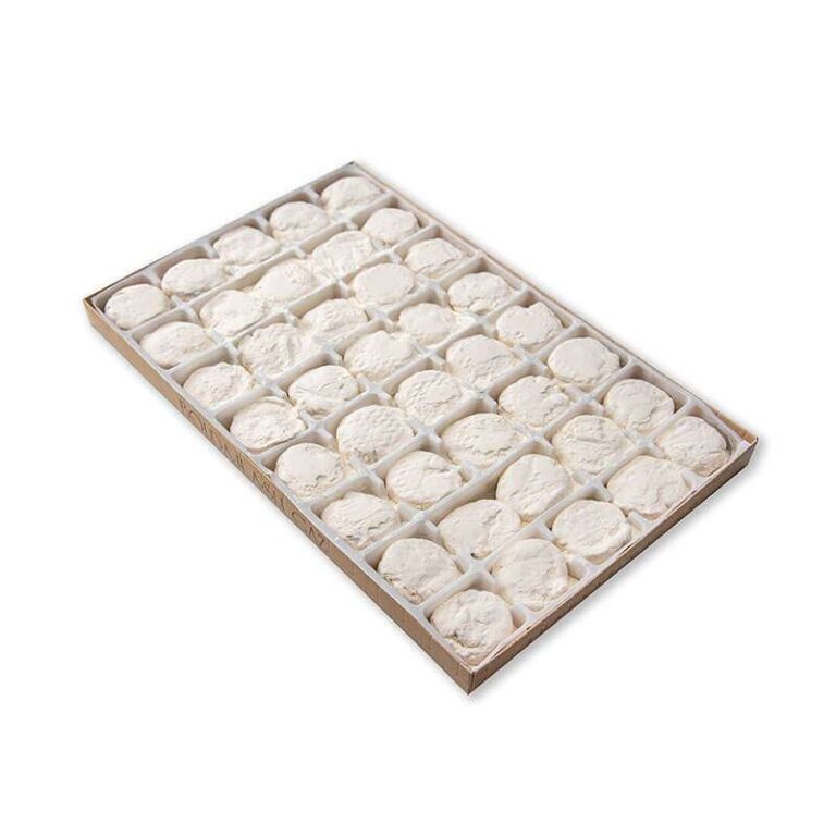 گز آردی 42 درصد پسته سکه ای - تصویر 2